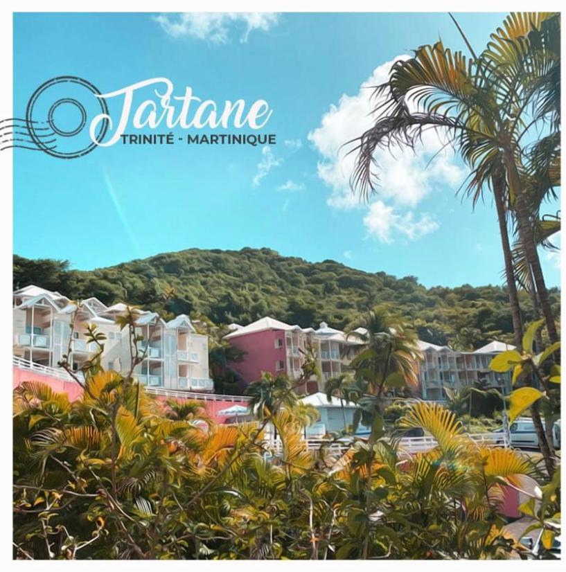 Résidence de la baie - BLEU SOLEIL TARTANE Trinite  Exterior foto