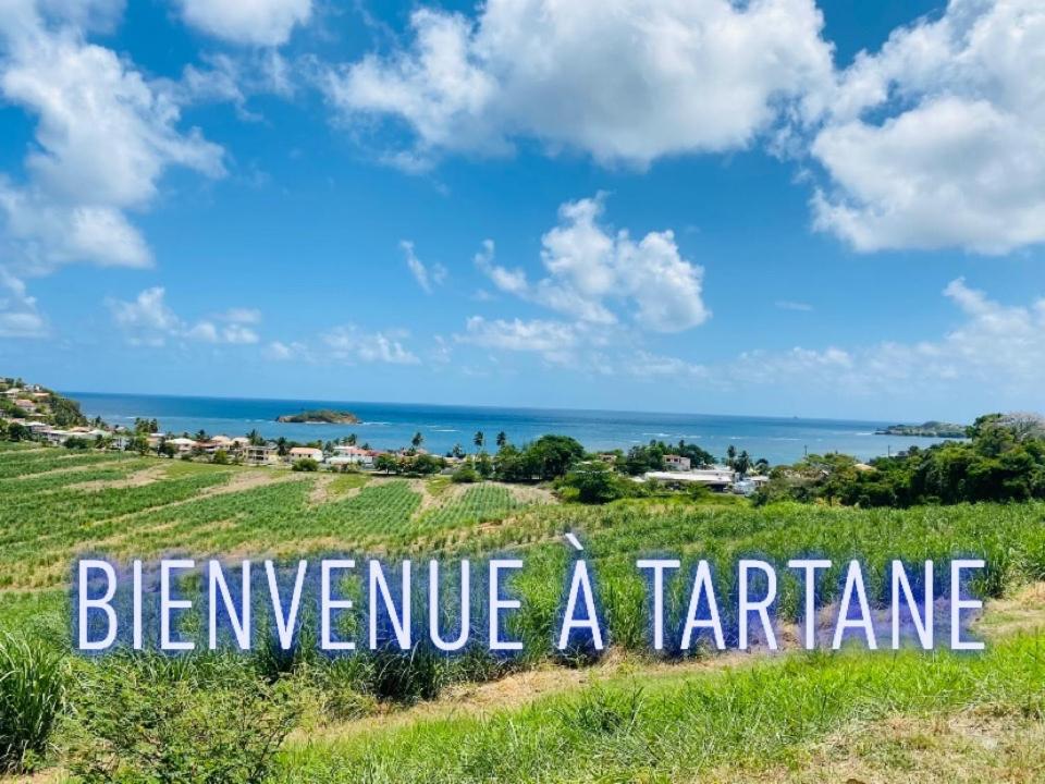 Résidence de la baie - BLEU SOLEIL TARTANE Trinite  Exterior foto